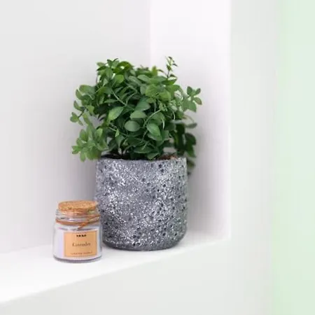 New In * テッサロニキ